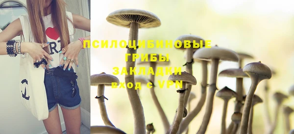 прущие крисы Алзамай