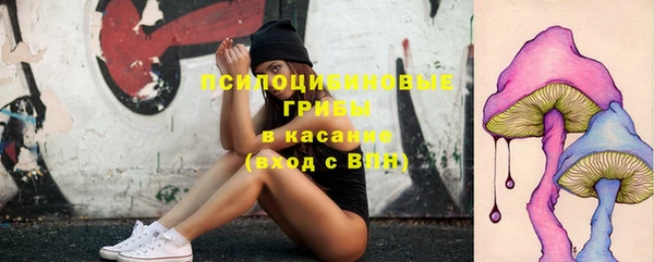 прущие крисы Алзамай