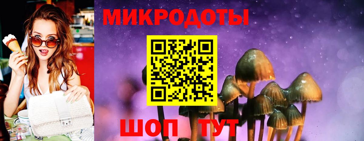 Псилоцибиновые грибы GOLDEN TEACHER  Псилоцибиновые грибы MAGIC MUSHROOMS  Искитим  что такое наркотик  Вход с VPN 